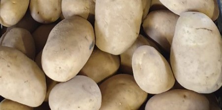 Patate