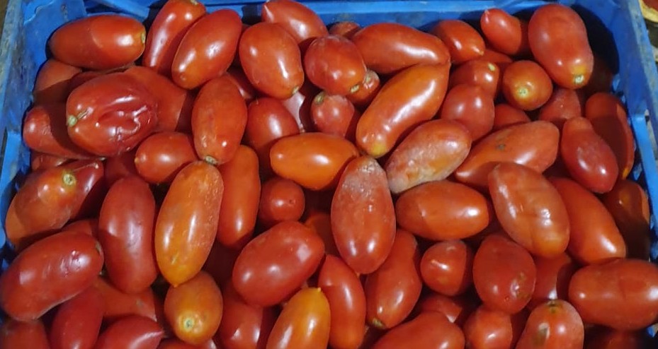 Pomodori